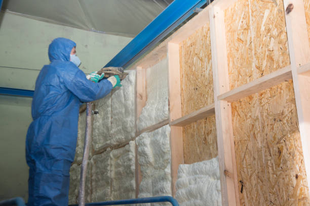 Best Attic Insulation Installation  in Colfax, WI